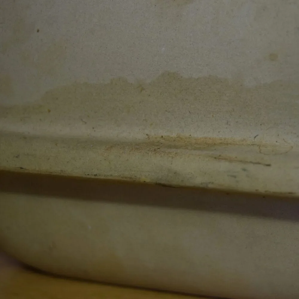 Sassafras superstone by